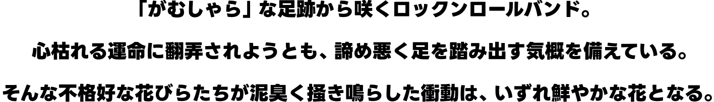 「がむしゃら」な足跡から咲くロックンロールバンド。心枯れる運命に翻弄されようとも、諦め悪く足を踏み出す気概を備えている。そんな不格好な花びらたちが泥臭く掻き鳴らした衝動は、いずれ鮮やかな花となる。